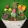 Frühling